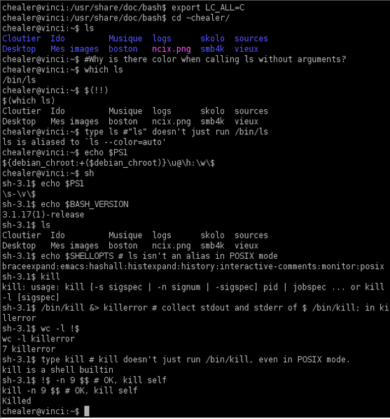 Файл:Bash demo.png